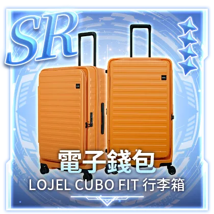 電子錢包