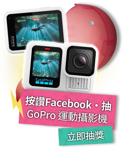 按讚Facebook