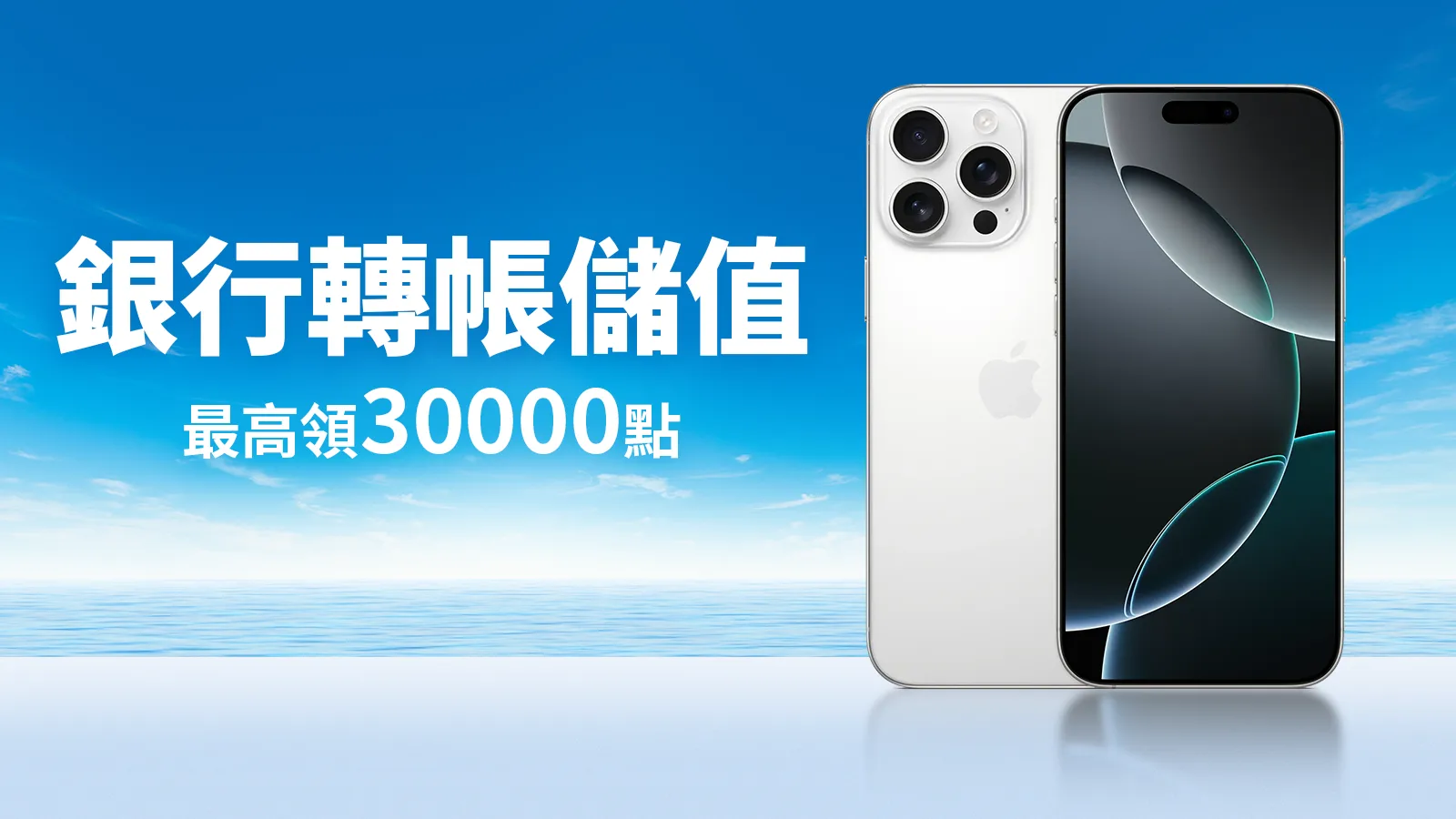 指定付費