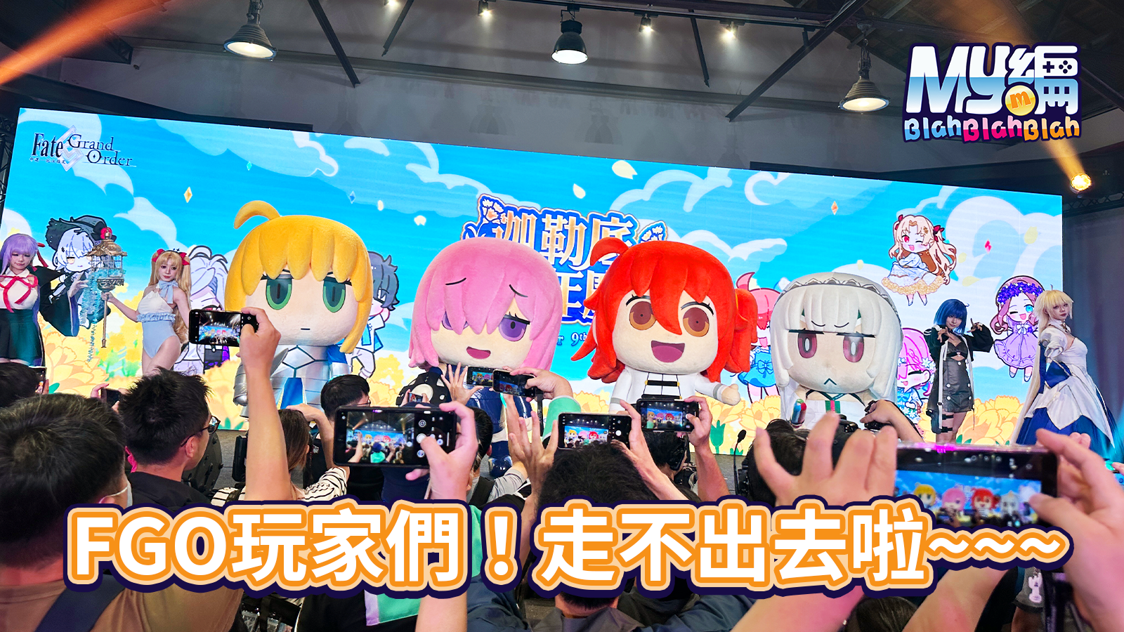 FGO活動