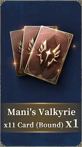 Mani's Valkyrie x11 Card (Bound)